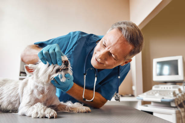 Best Broken Tooth Emergency  in Vevay, IN